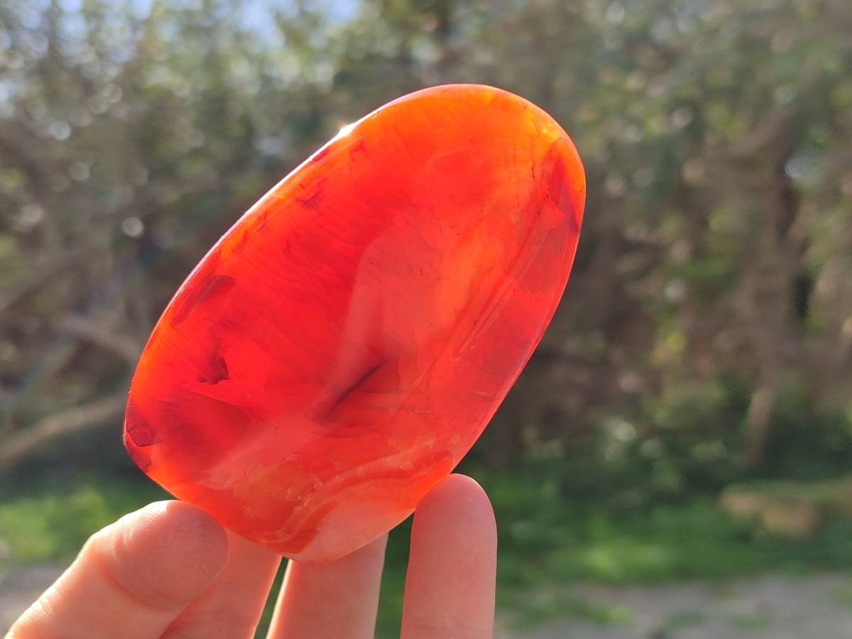 Polished Carnelian Agate Standing Free Forms x 6 From Madagascar - Toprock Gemstones and Minerals 