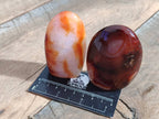 Polished Carnelian Agate Standing Free Forms x 6 From Madagascar - Toprock Gemstones and Minerals 