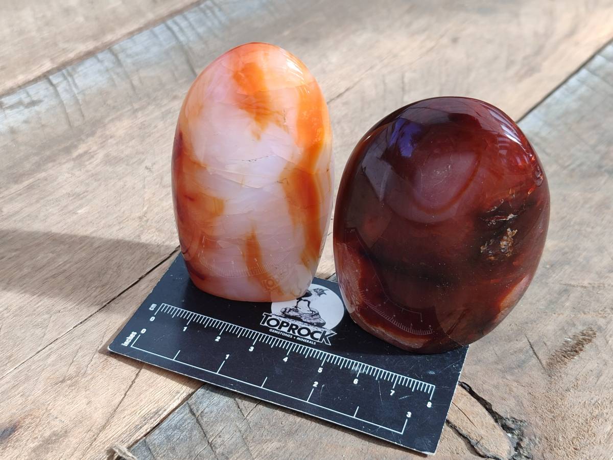 Polished Carnelian Agate Standing Free Forms x 6 From Madagascar - Toprock Gemstones and Minerals 
