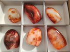 Polished Carnelian Agate Standing Free Forms x 6 From Madagascar - Toprock Gemstones and Minerals 