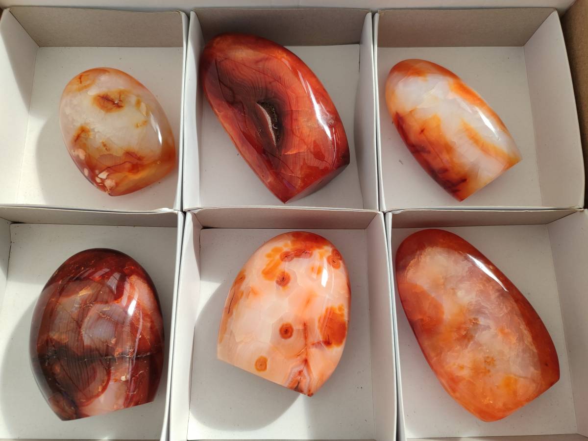 Polished Carnelian Agate Standing Free Forms x 6 From Madagascar - Toprock Gemstones and Minerals 