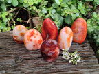 Polished Carnelian Agate Standing Free Forms x 6 From Madagascar - Toprock Gemstones and Minerals 