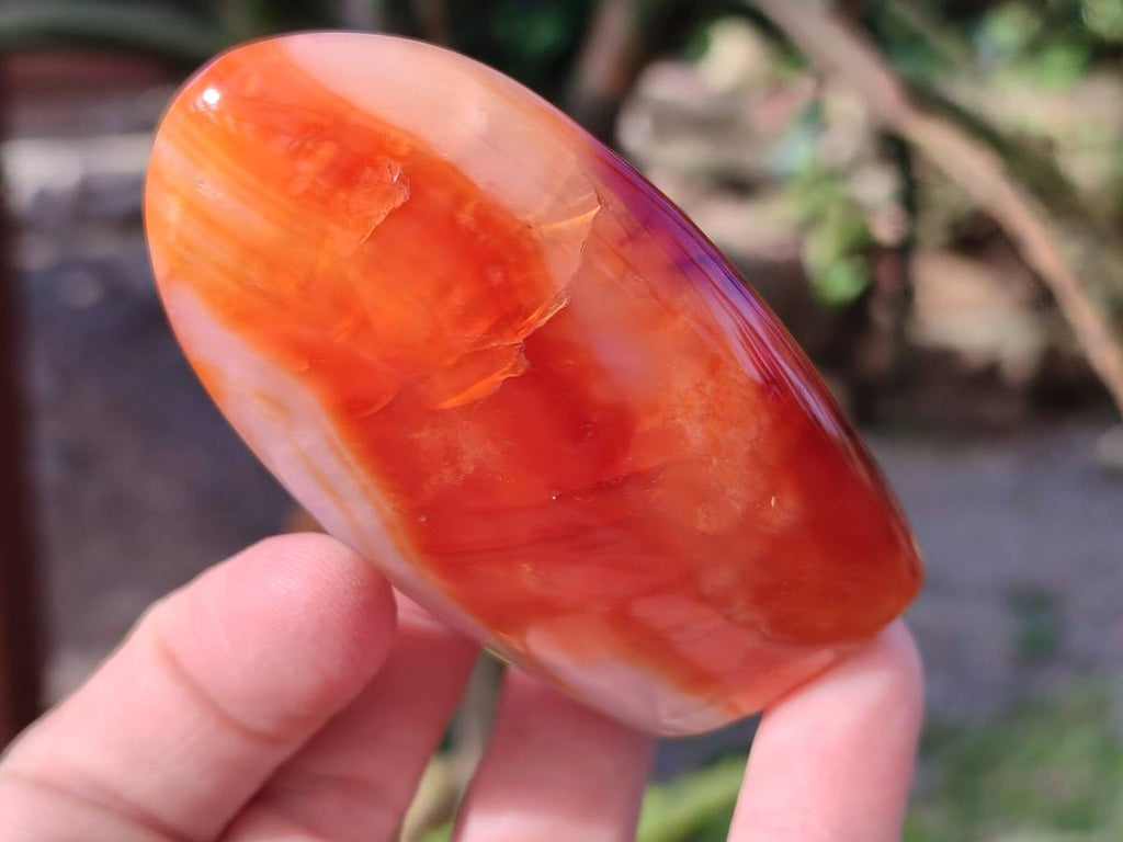 Polished Carnelian Agate Standing Free Forms x 6 From Madagascar - Toprock Gemstones and Minerals 