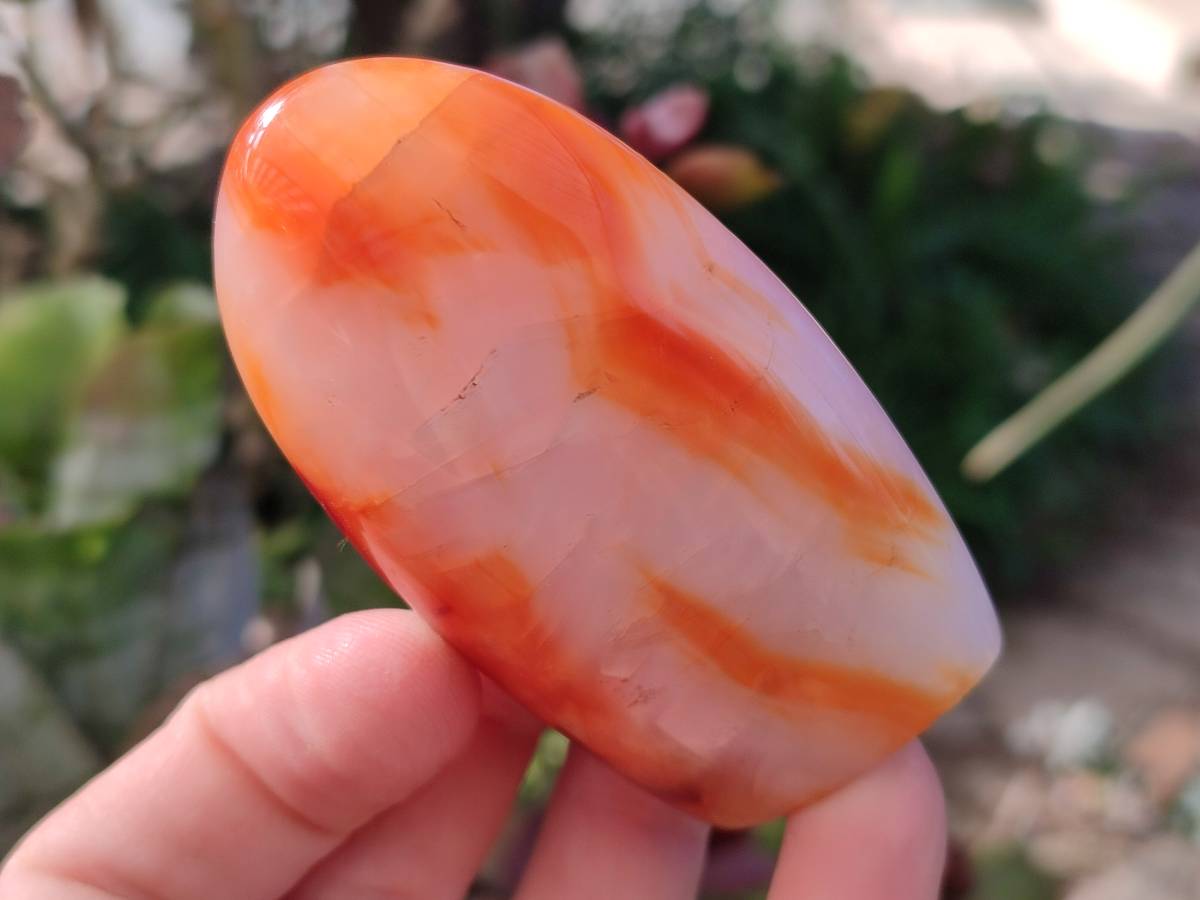 Polished Carnelian Agate Standing Free Forms x 6 From Madagascar - Toprock Gemstones and Minerals 