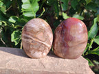 Polished Podocarpus Petrified Wood Free Forms x 4 From Mahajanga, Madagascar - Toprock Gemstones and Minerals 