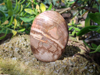 Polished Podocarpus Petrified Wood Free Forms x 4 From Mahajanga, Madagascar - Toprock Gemstones and Minerals 