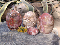 Polished Podocarpus Petrified Wood Free Forms x 4 From Mahajanga, Madagascar - Toprock Gemstones and Minerals 