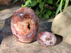 Polished Podocarpus Petrified Wood Free Forms x 4 From Mahajanga, Madagascar - Toprock Gemstones and Minerals 