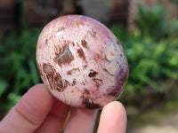 Polished Podocarpus Petrified Wood Free Forms x 4 From Mahajanga, Madagascar - Toprock Gemstones and Minerals 