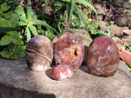 Polished Podocarpus Petrified Wood Free Forms x 4 From Mahajanga, Madagascar - Toprock Gemstones and Minerals 