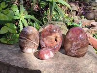 Polished Podocarpus Petrified Wood Free Forms x 4 From Mahajanga, Madagascar - Toprock Gemstones and Minerals 