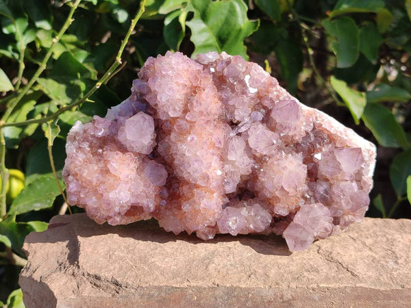 Natural Amethyst Spirit Quartz Clusters x 2 From Boekenhouthoek, South Africa - Toprock Gemstones and Minerals 