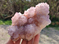Natural Amethyst Spirit Quartz Clusters x 2 From Boekenhouthoek, South Africa - Toprock Gemstones and Minerals 
