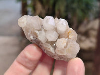 Natural Fairy Spirit Quartz Specimens x 35 From Boekenhouthoek, South Africa - Toprock Gemstones and Minerals 