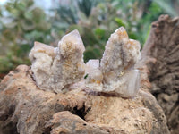 Natural Fairy Spirit Quartz Specimens x 35 From Boekenhouthoek, South Africa - Toprock Gemstones and Minerals 
