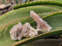 Natural Fairy Spirit Quartz Specimens x 35 From Boekenhouthoek, South Africa - Toprock Gemstones and Minerals 