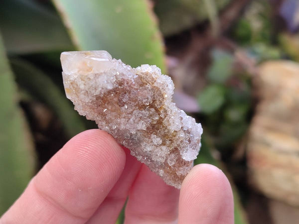 Natural Fairy Spirit Quartz Specimens x 35 From Boekenhouthoek, South Africa - Toprock Gemstones and Minerals 