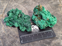 Natural Silky Malachite Specimens x 6 From Kasompe, Congo - Toprock Gemstones and Minerals 