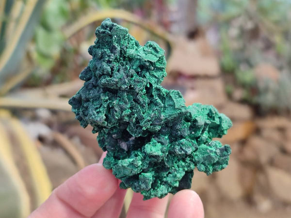 Natural Silky Malachite Specimens x 6 From Kasompe, Congo - Toprock Gemstones and Minerals 