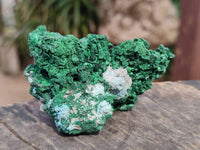 Natural Silky Malachite Specimens x 6 From Kasompe, Congo - Toprock Gemstones and Minerals 