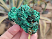 Natural Silky Malachite Specimens x 6 From Kasompe, Congo - Toprock Gemstones and Minerals 