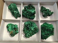 Natural Silky Malachite Specimens x 6 From Kasompe, Congo - Toprock Gemstones and Minerals 