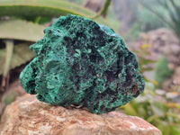 Natural Silky Malachite Specimens x 6 From Kasompe, Congo - Toprock Gemstones and Minerals 