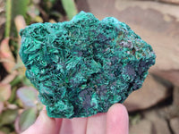 Natural Silky Malachite Specimens x 6 From Kasompe, Congo - Toprock Gemstones and Minerals 
