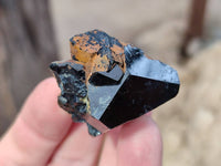 Natural Schorl Black Tourmaline Specimens x 24 From Namibia - Toprock Gemstones and Minerals 