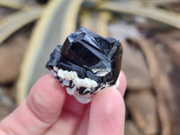 Natural Schorl Black Tourmaline Specimens x 24 From Namibia - Toprock Gemstones and Minerals 