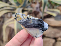 Natural Schorl Black Tourmaline Specimens x 24 From Namibia - Toprock Gemstones and Minerals 