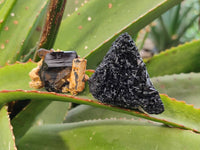 Natural Schorl Black Tourmaline Specimens x 24 From Namibia - Toprock Gemstones and Minerals 