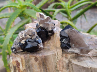 Natural Schorl Black Tourmaline Specimens x 24 From Namibia - Toprock Gemstones and Minerals 