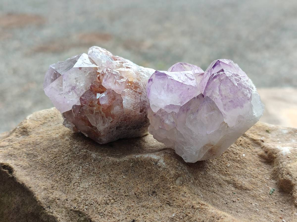 Natural Amethyst Spirit Quartz Clusters x 12 From Boekenhouthoek, South Africa - Toprock Gemstones and Minerals 