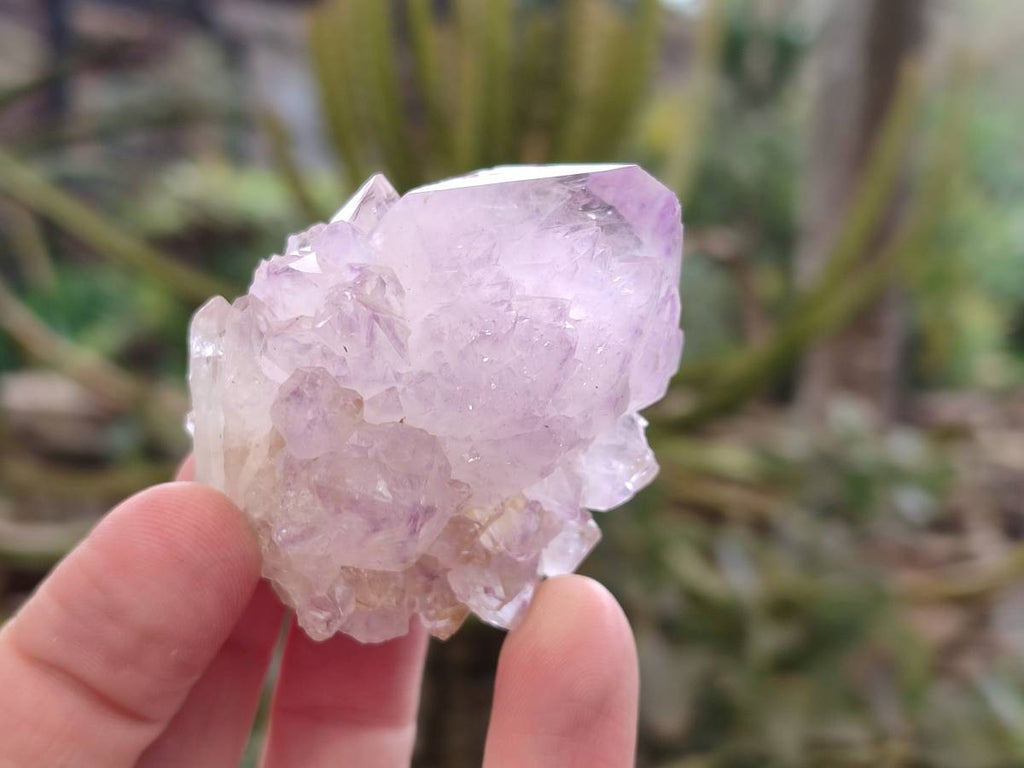 Natural Amethyst Spirit Quartz Clusters x 12 From Boekenhouthoek, South Africa - Toprock Gemstones and Minerals 