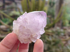 Natural Amethyst Spirit Quartz Clusters x 12 From Boekenhouthoek, South Africa - Toprock Gemstones and Minerals 