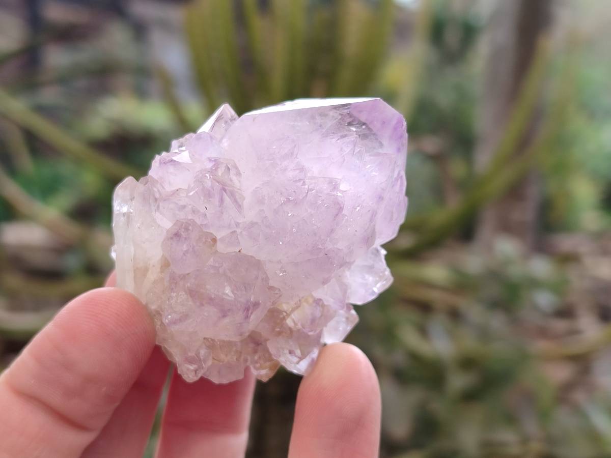 Natural Amethyst Spirit Quartz Clusters x 12 From Boekenhouthoek, South Africa - Toprock Gemstones and Minerals 