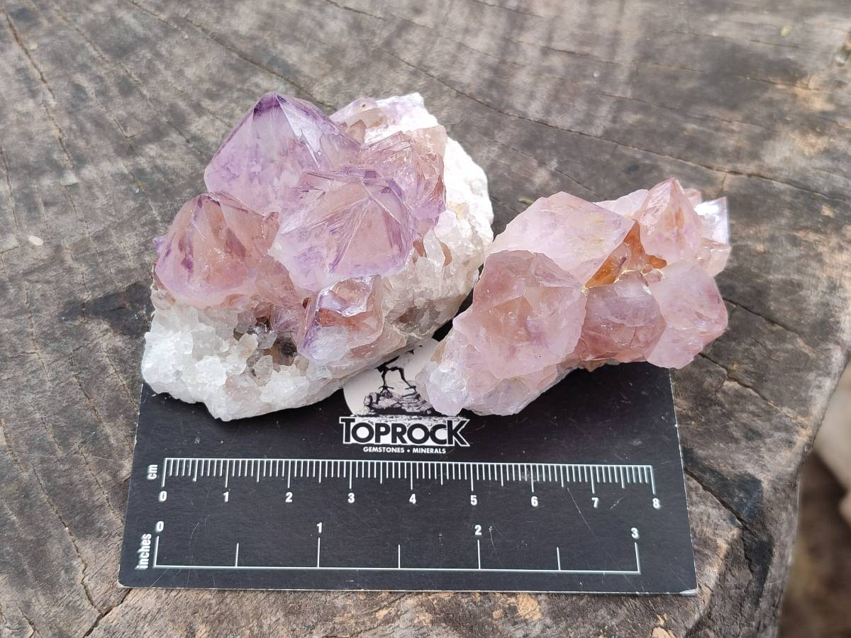 Natural Amethyst Spirit Quartz Clusters x 12 From Boekenhouthoek, South Africa - Toprock Gemstones and Minerals 