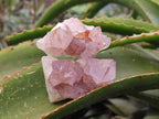Natural Amethyst Spirit Quartz Clusters x 12 From Boekenhouthoek, South Africa - Toprock Gemstones and Minerals 