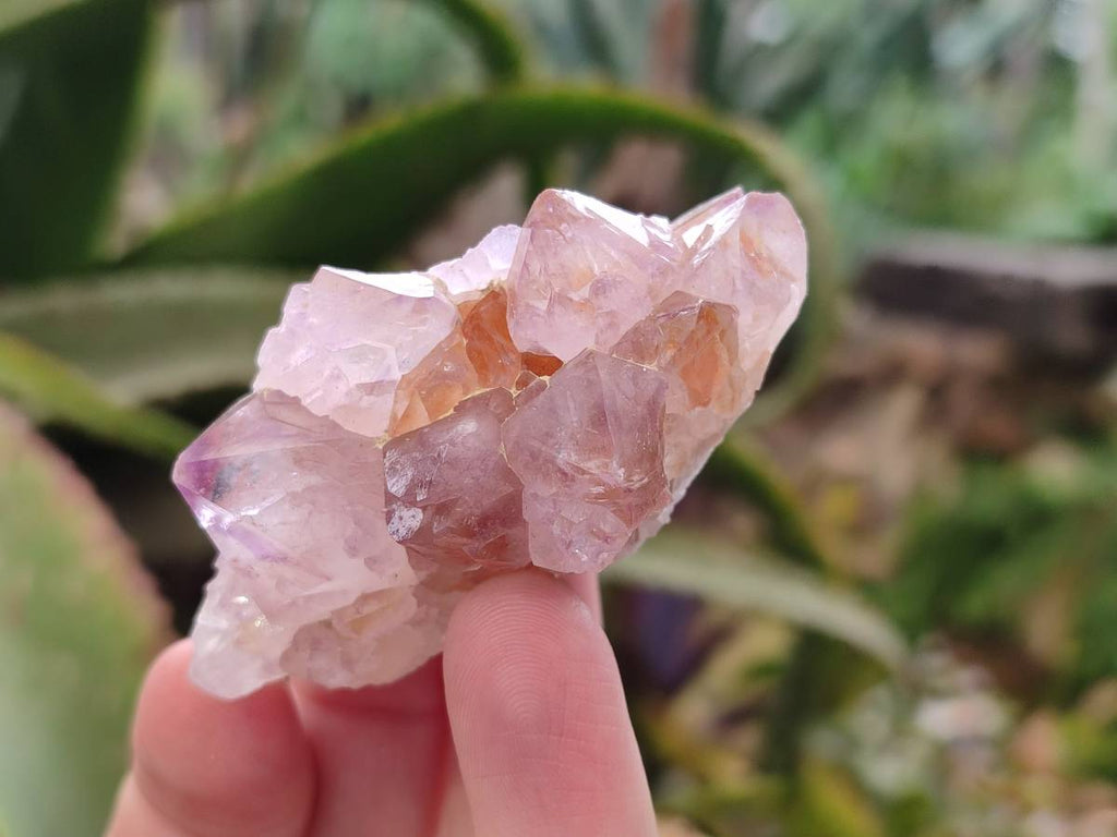 Natural Amethyst Spirit Quartz Clusters x 12 From Boekenhouthoek, South Africa - Toprock Gemstones and Minerals 