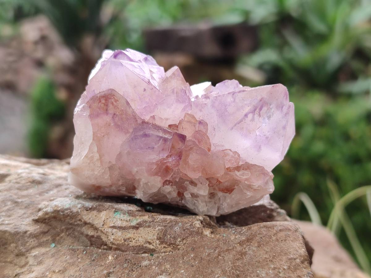 Natural Amethyst Spirit Quartz Clusters x 12 From Boekenhouthoek, South Africa - Toprock Gemstones and Minerals 