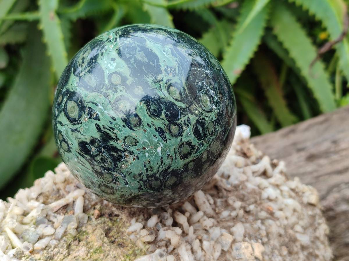 Polished Stromatolite Spheres x 3 From Katsepy, Madagascar - Toprock Gemstones and Minerals 