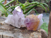 Natural Jacaranda Amethyst Quartz Crystals x 14 From Mumbwa, Zambia - Toprock Gemstones and Minerals 