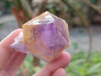 Natural Jacaranda Amethyst Quartz Crystals x 14 From Mumbwa, Zambia - Toprock Gemstones and Minerals 