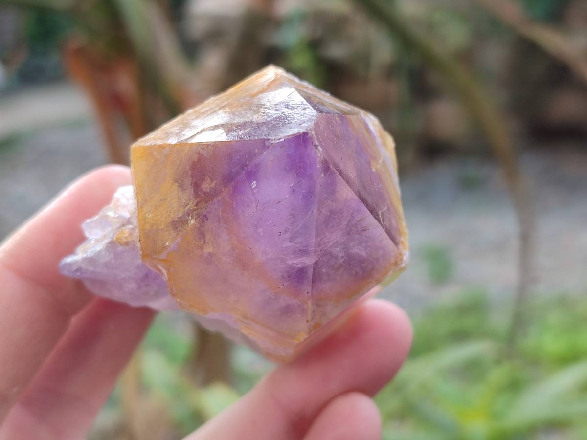 Natural Jacaranda Amethyst Quartz Crystals x 14 From Mumbwa, Zambia - Toprock Gemstones and Minerals 
