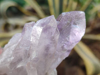 Natural Jacaranda Amethyst Quartz Crystals x 14 From Mumbwa, Zambia - Toprock Gemstones and Minerals 