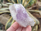 Natural Jacaranda Amethyst Quartz Crystals x 14 From Mumbwa, Zambia - Toprock Gemstones and Minerals 