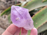 Natural Jacaranda Amethyst Quartz Crystals x 14 From Mumbwa, Zambia - Toprock Gemstones and Minerals 
