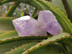Natural Jacaranda Amethyst Quartz Crystals x 14 From Mumbwa, Zambia - Toprock Gemstones and Minerals 