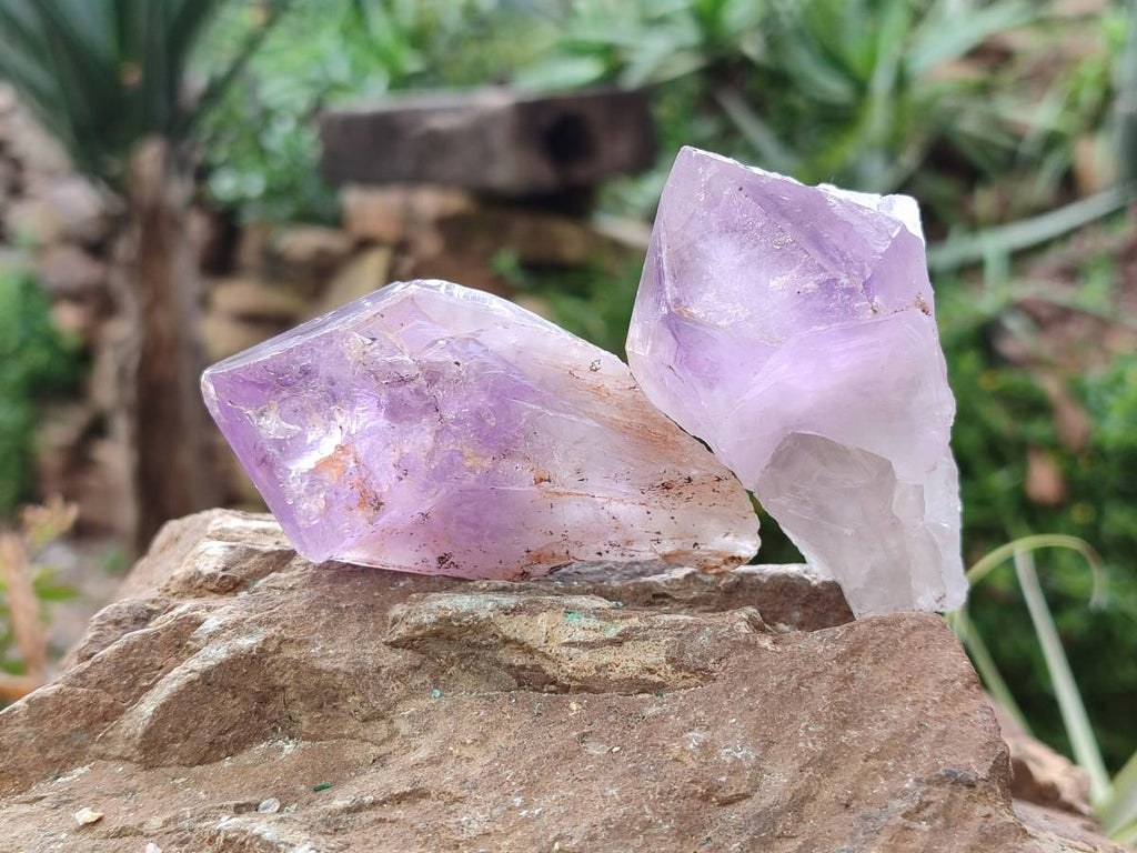 Natural Jacaranda Amethyst Quartz Crystals x 14 From Mumbwa, Zambia - Toprock Gemstones and Minerals 